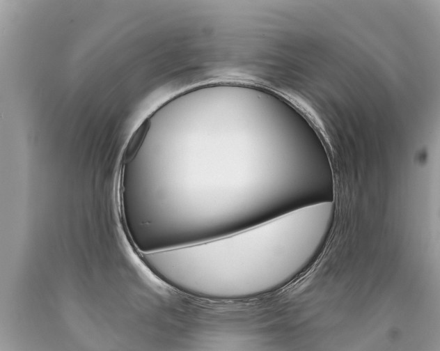 X0000090781391200707201126