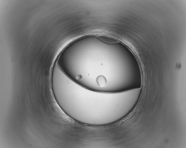 X0000090781392200707201126