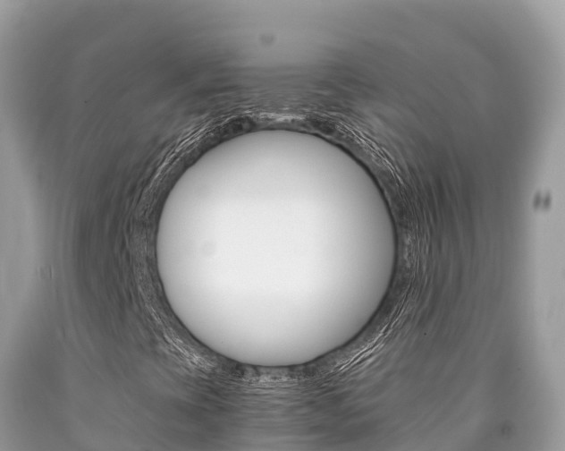 X0000090781393200707201125