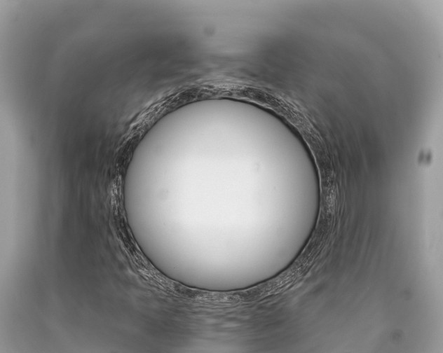 X0000090781397200707201125
