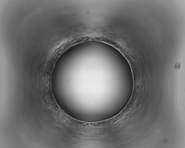 X0000090781398200707201125