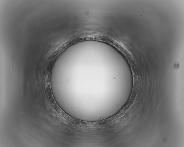 X0000090781399200707201125