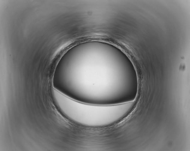 X0000090781402200707201125