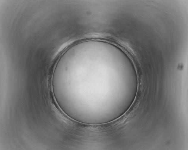 X0000090781404200707201125