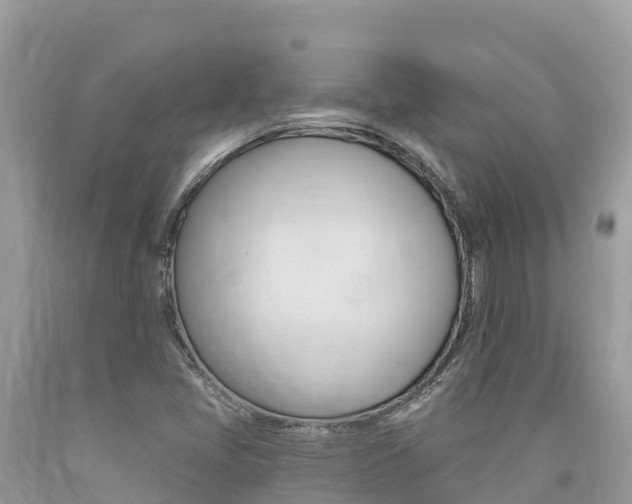 X0000090781405200707201125