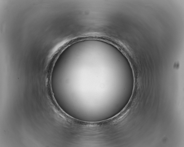 X0000090781406200707201125