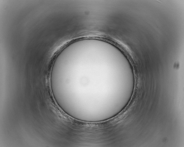 X0000090781407200707201125