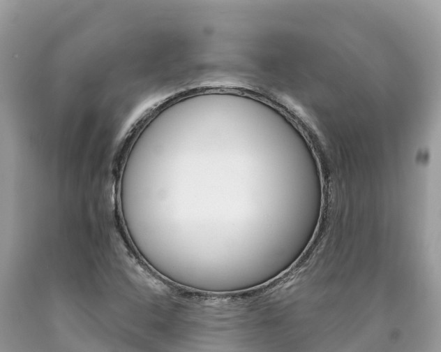 X0000090781408200707201125