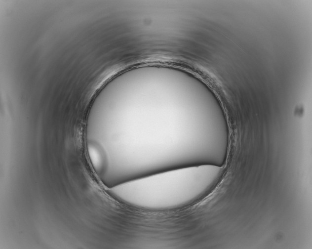 X0000090781409200707201125