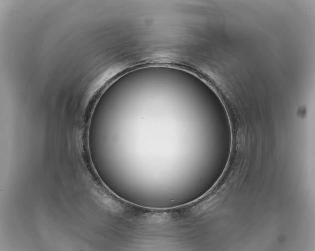 X0000090781410200707201125