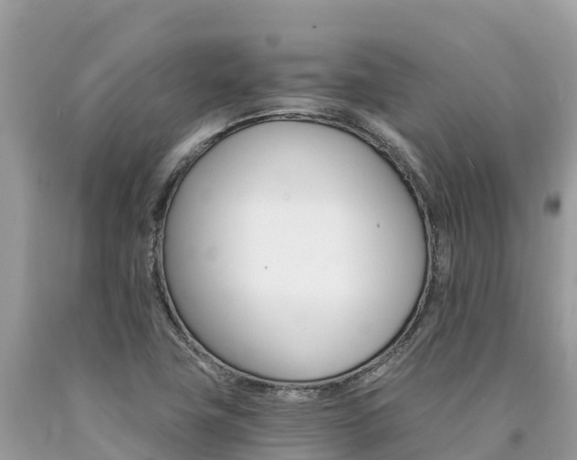 X0000090781411200707201125