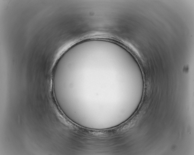 X0000090781413200707201125