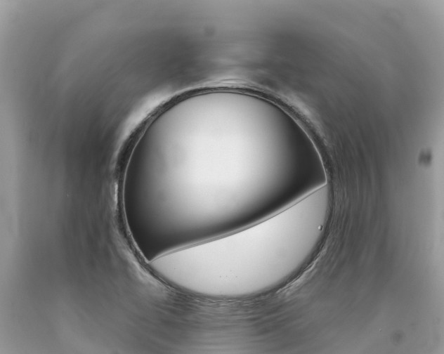 X0000090781414200707201125