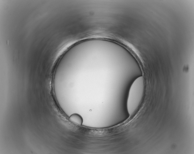 X0000090781415200707201125