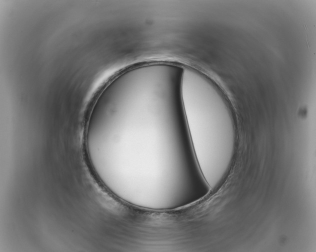 X0000090781416200707201125