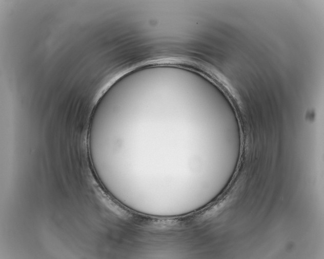 X0000090781417200707201125