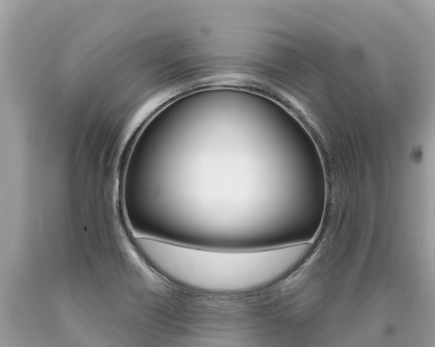 X0000090781418200707201125