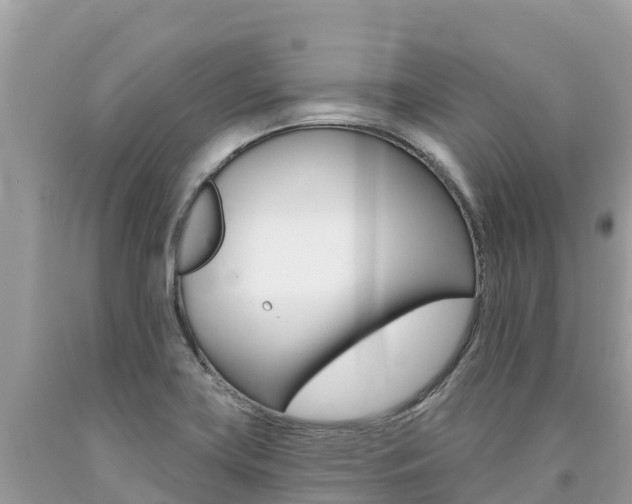 X0000090781419200707201125
