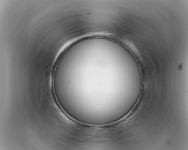 X0000090781420200707201125