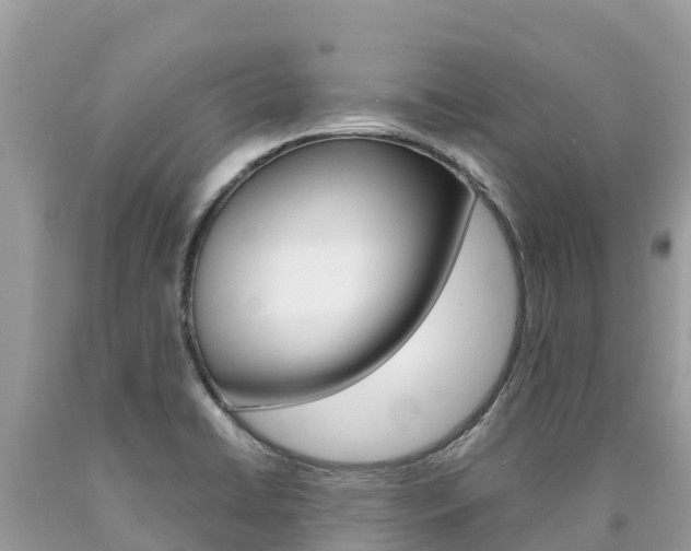 X0000090781422200707201125