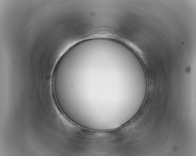 X0000090781423200707201125