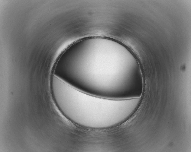 X0000090781424200707201125
