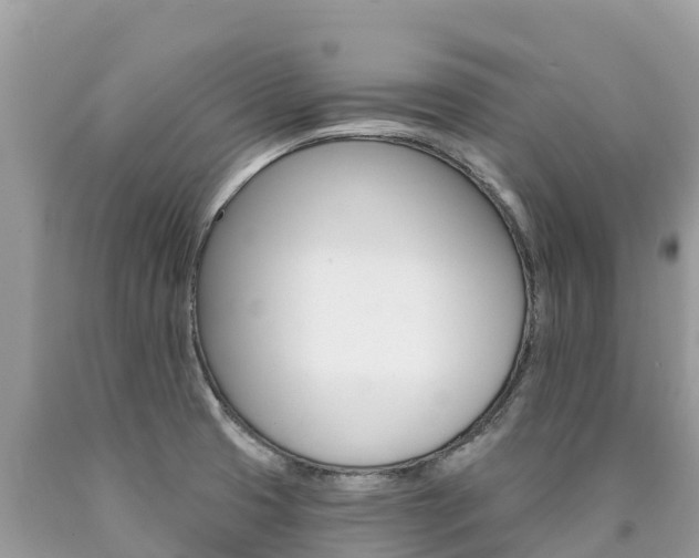 X0000090781425200707201125