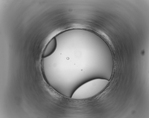 X0000090781427200707201125