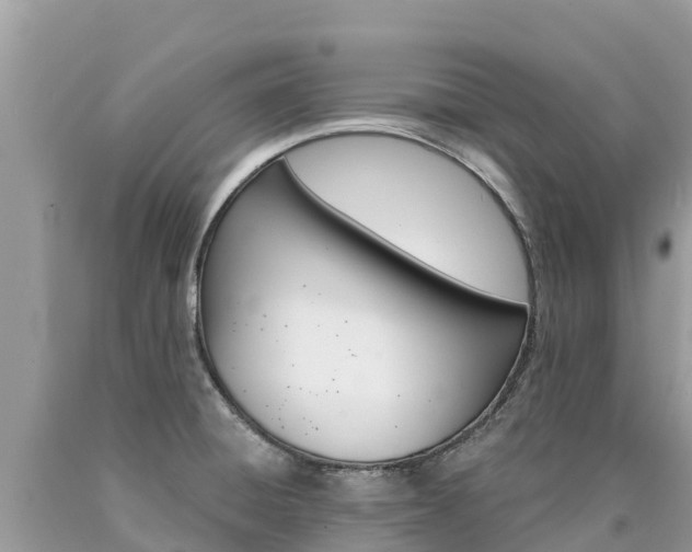X0000090781428200707201125