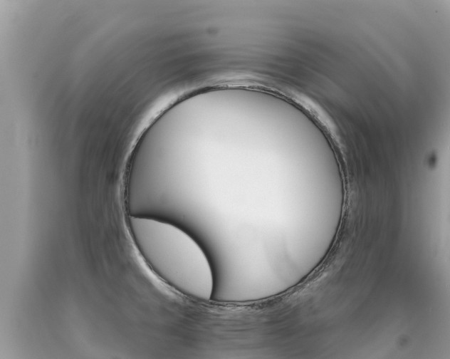 X0000090781429200707201125