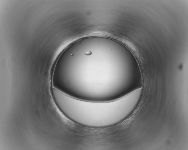 X0000090781430200707201125