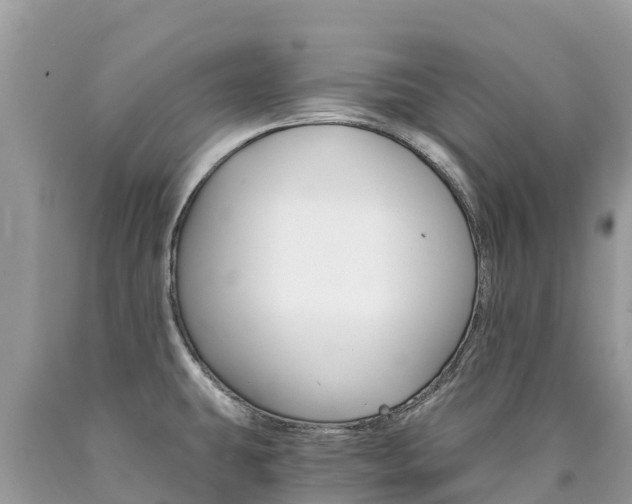 X0000090781431200707201125