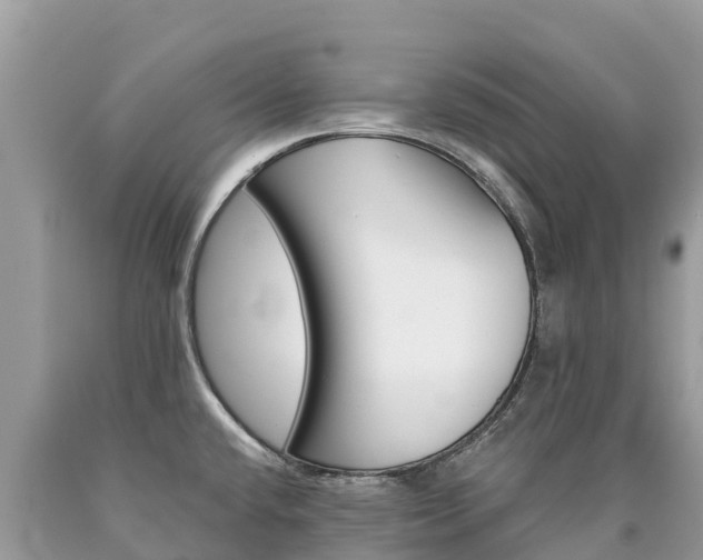 X0000090781432200707201125