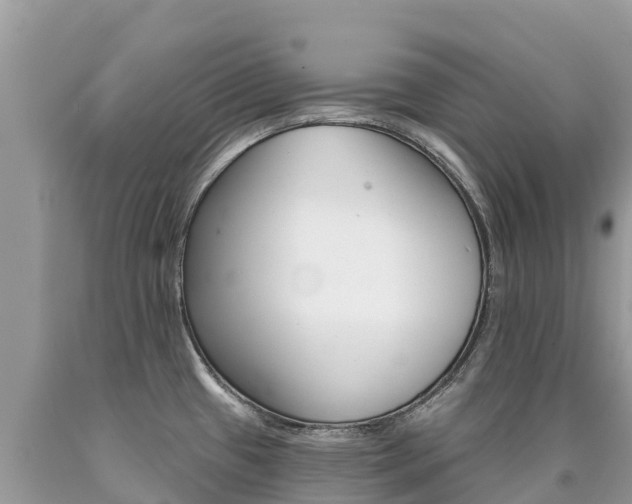 X0000090781433200707201125