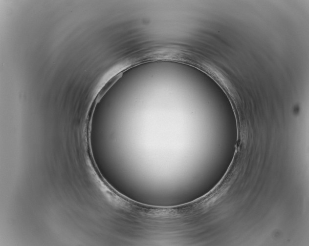 X0000090781434200707201125
