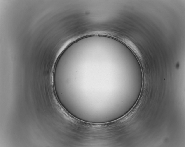 X0000090781436200707201125