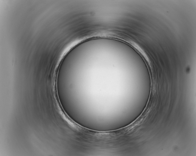X0000090781437200707201125