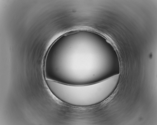X0000090781438200707201126