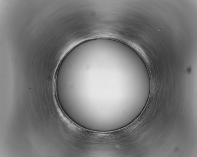 X0000090781439200707201126