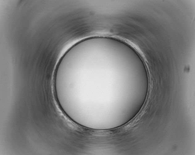 X0000090781440200707201126