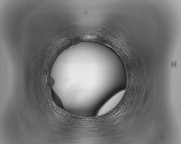 X0000090781441200707201125