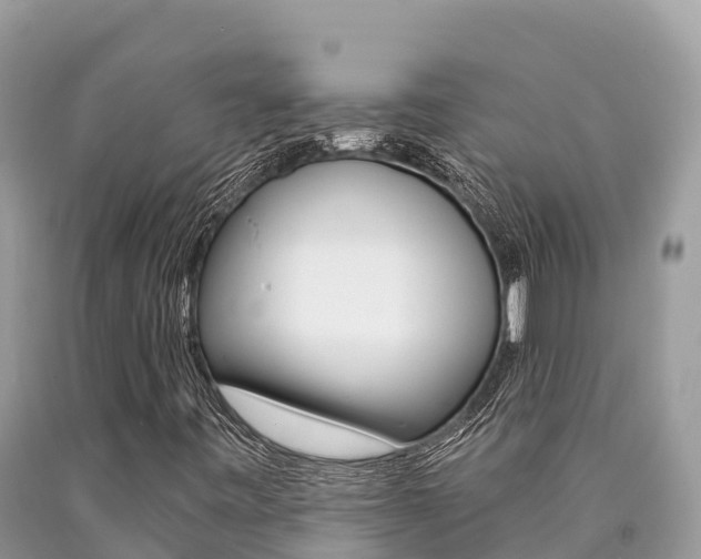 X0000090781443200707201125