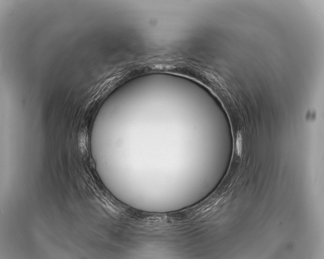 X0000090781444200707201125