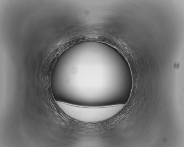 X0000090781445200707201125