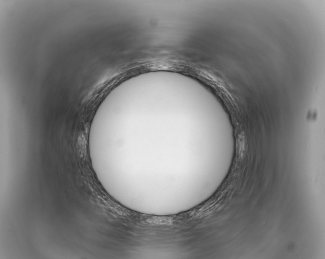 X0000090781446200707201125