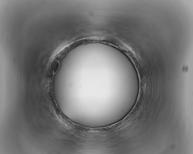 X0000090781448200707201125