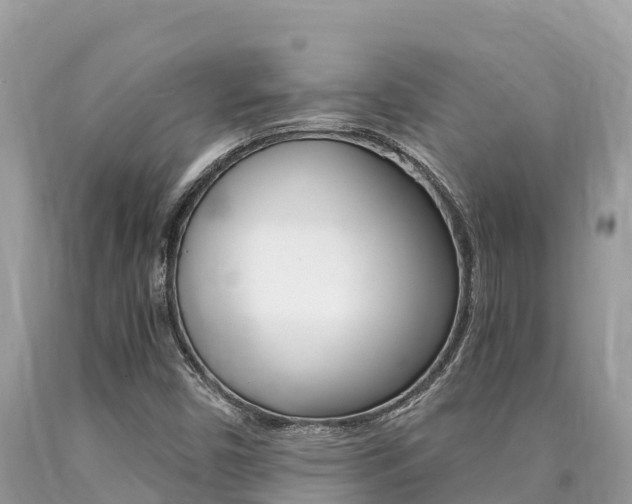 X0000090781450200707201125
