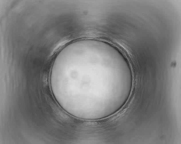 X0000090781451200707201125