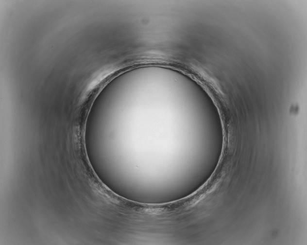 X0000090781453200707201125