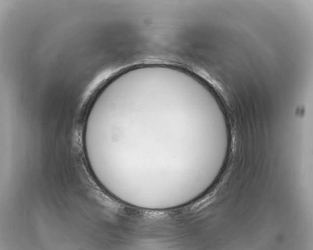 X0000090781454200707201125